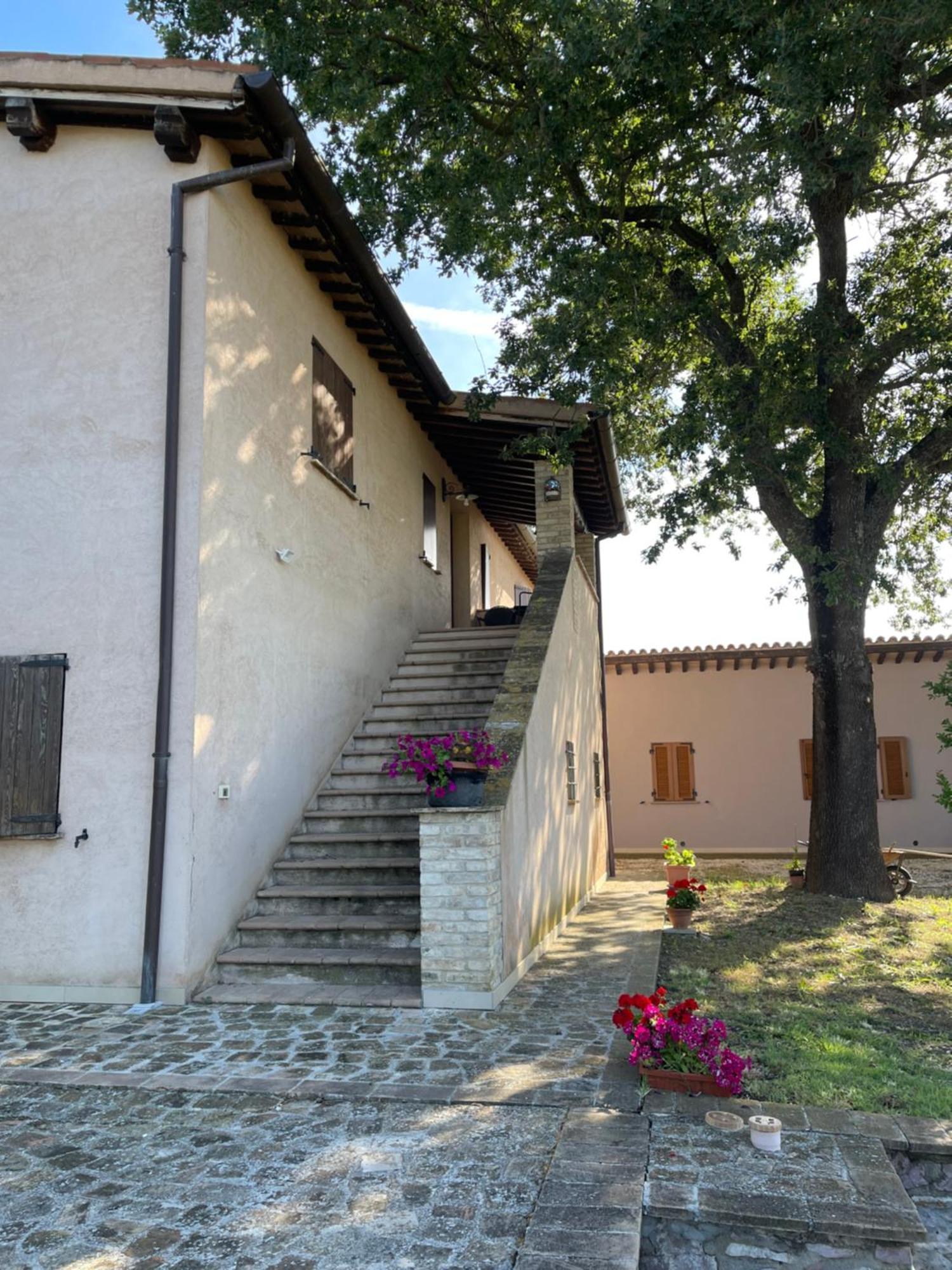 Le Ghiande Guest House Spello Bagian luar foto