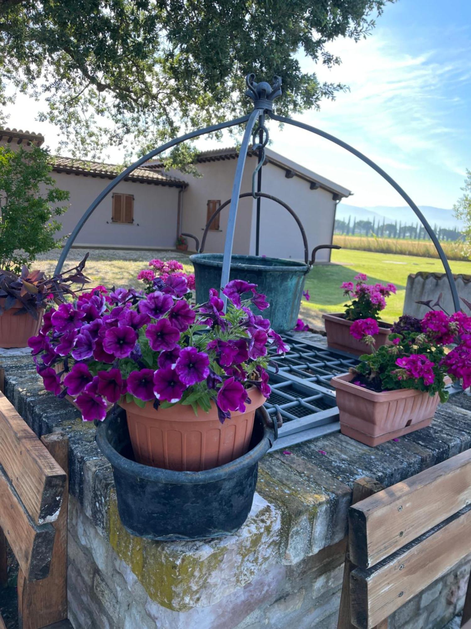 Le Ghiande Guest House Spello Bagian luar foto