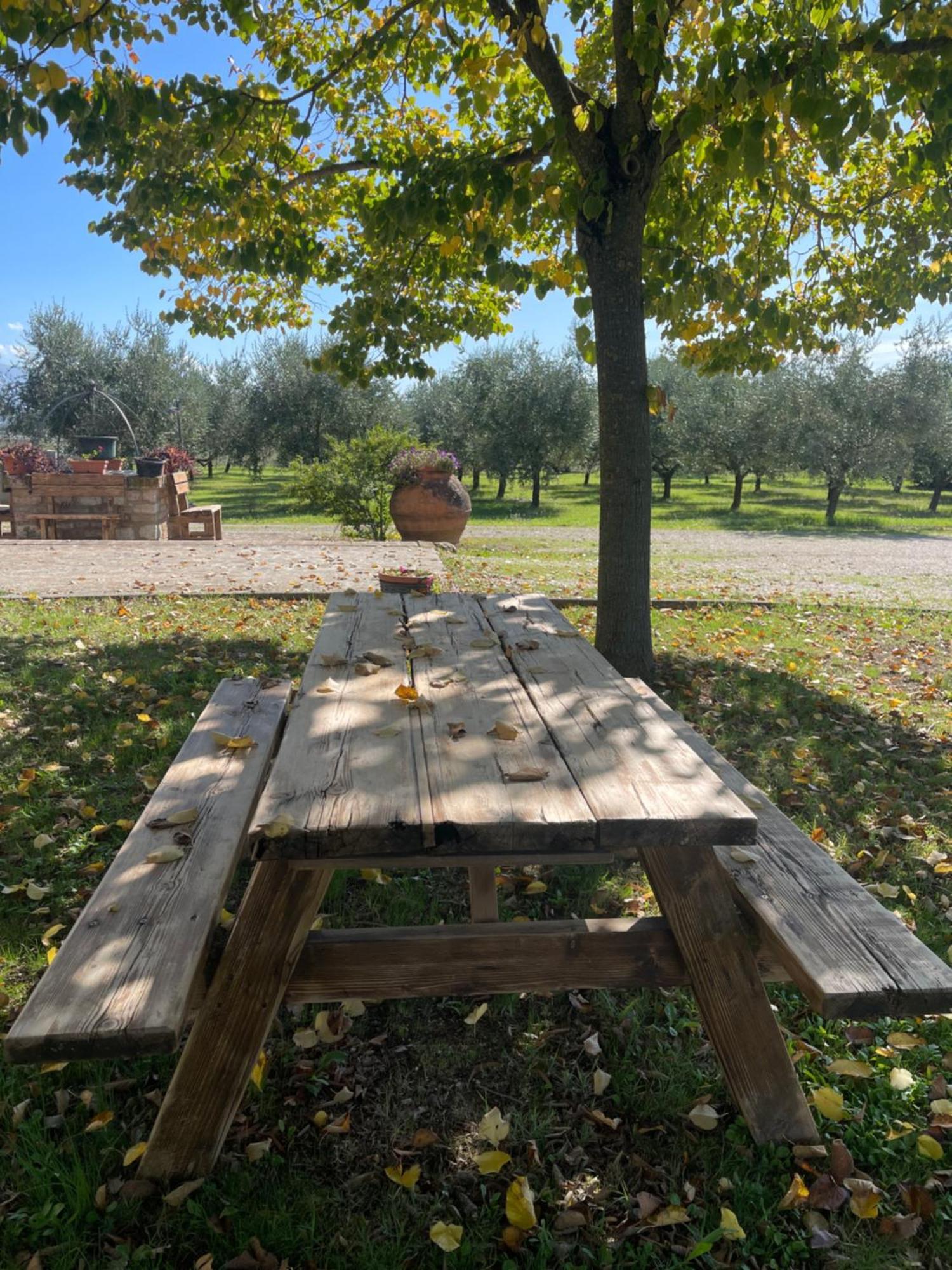 Le Ghiande Guest House Spello Bagian luar foto