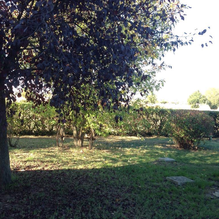 Le Ghiande Guest House Spello Bagian luar foto