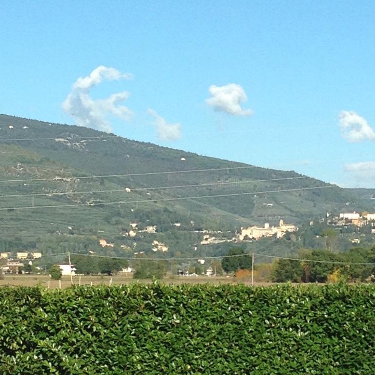 Le Ghiande Guest House Spello Bagian luar foto
