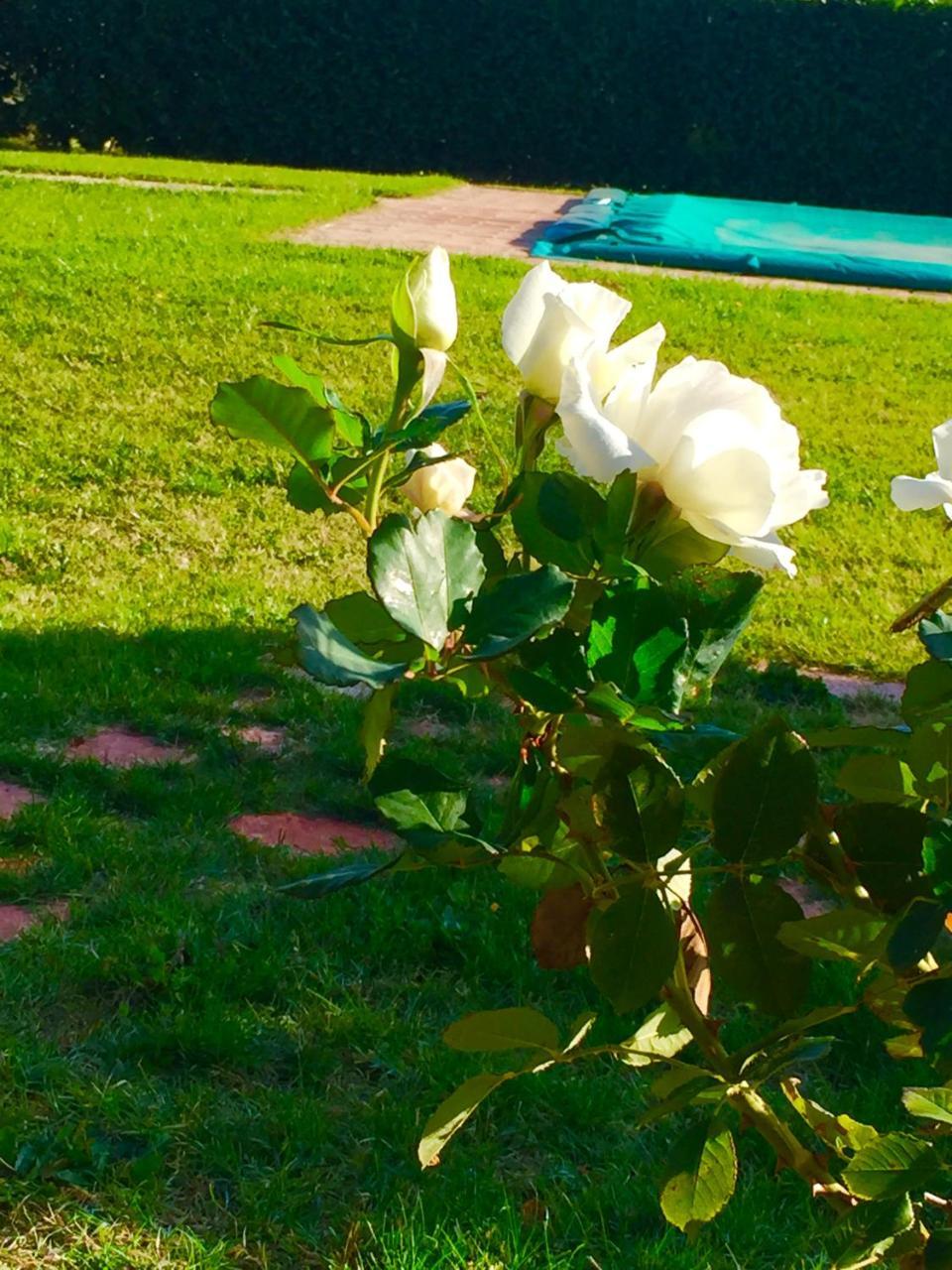 Le Ghiande Guest House Spello Bagian luar foto