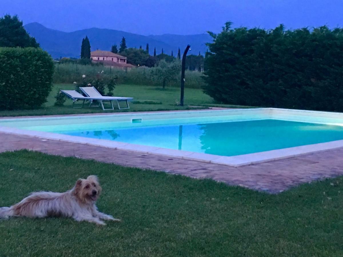Le Ghiande Guest House Spello Bagian luar foto